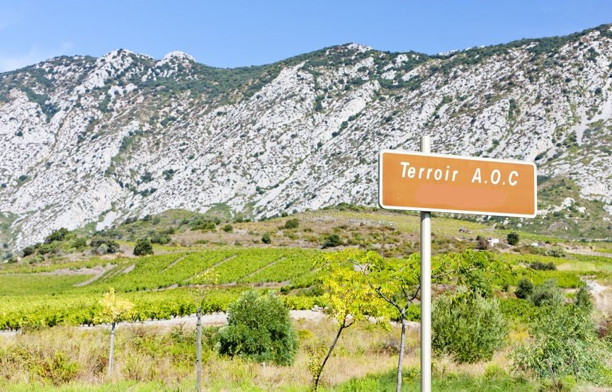 Find the right appellation for French wines?